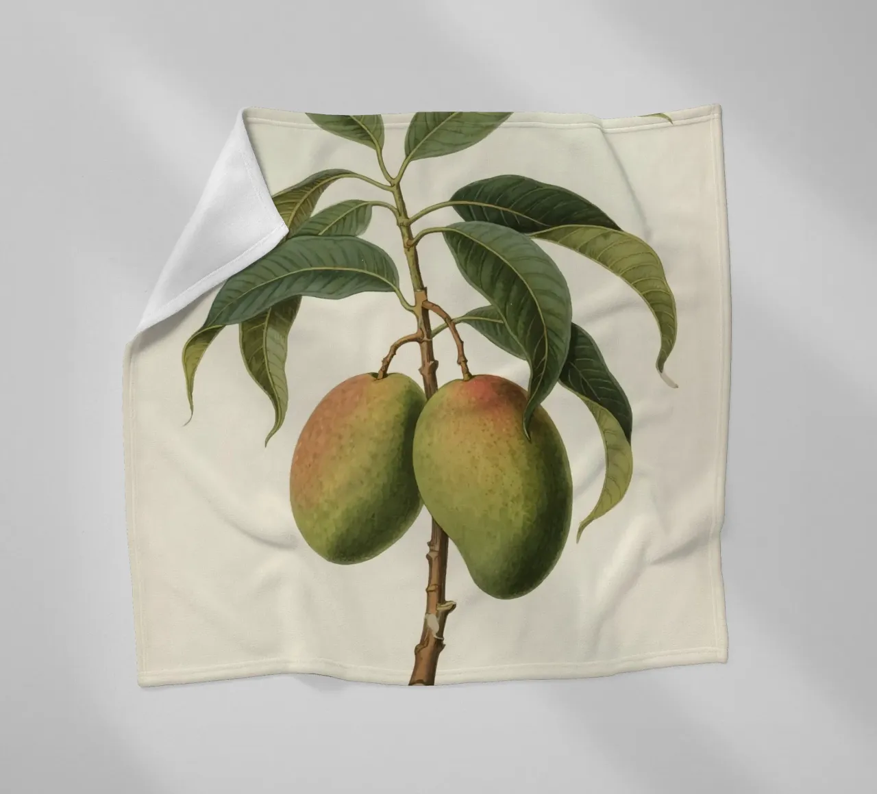 Pianta di mango coperta in pile da knowledge