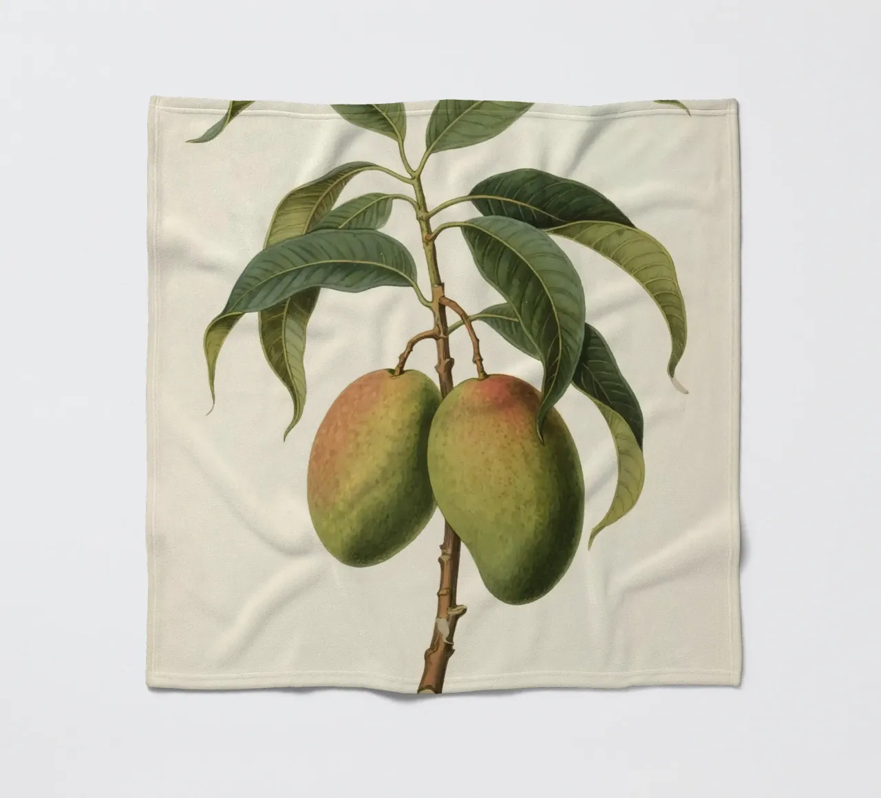 Pianta di mango coperta in pile da knowledge