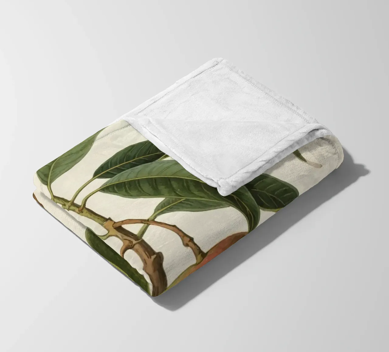 Pianta di mango coperta in pile da knowledge