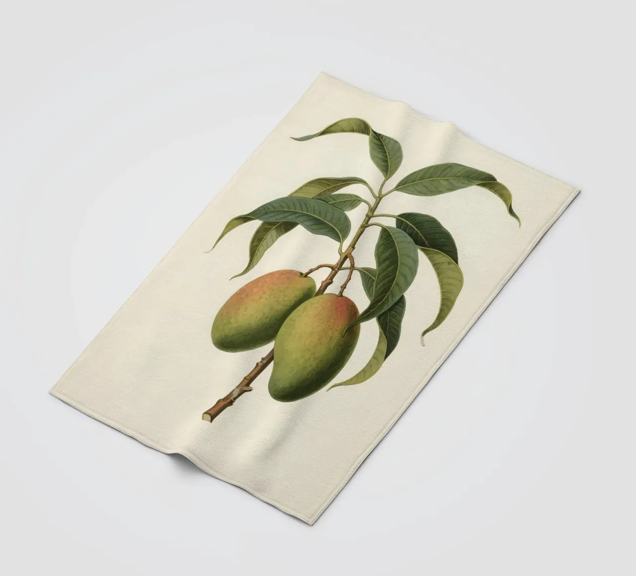 Pianta di mango coperta in pile da knowledge
