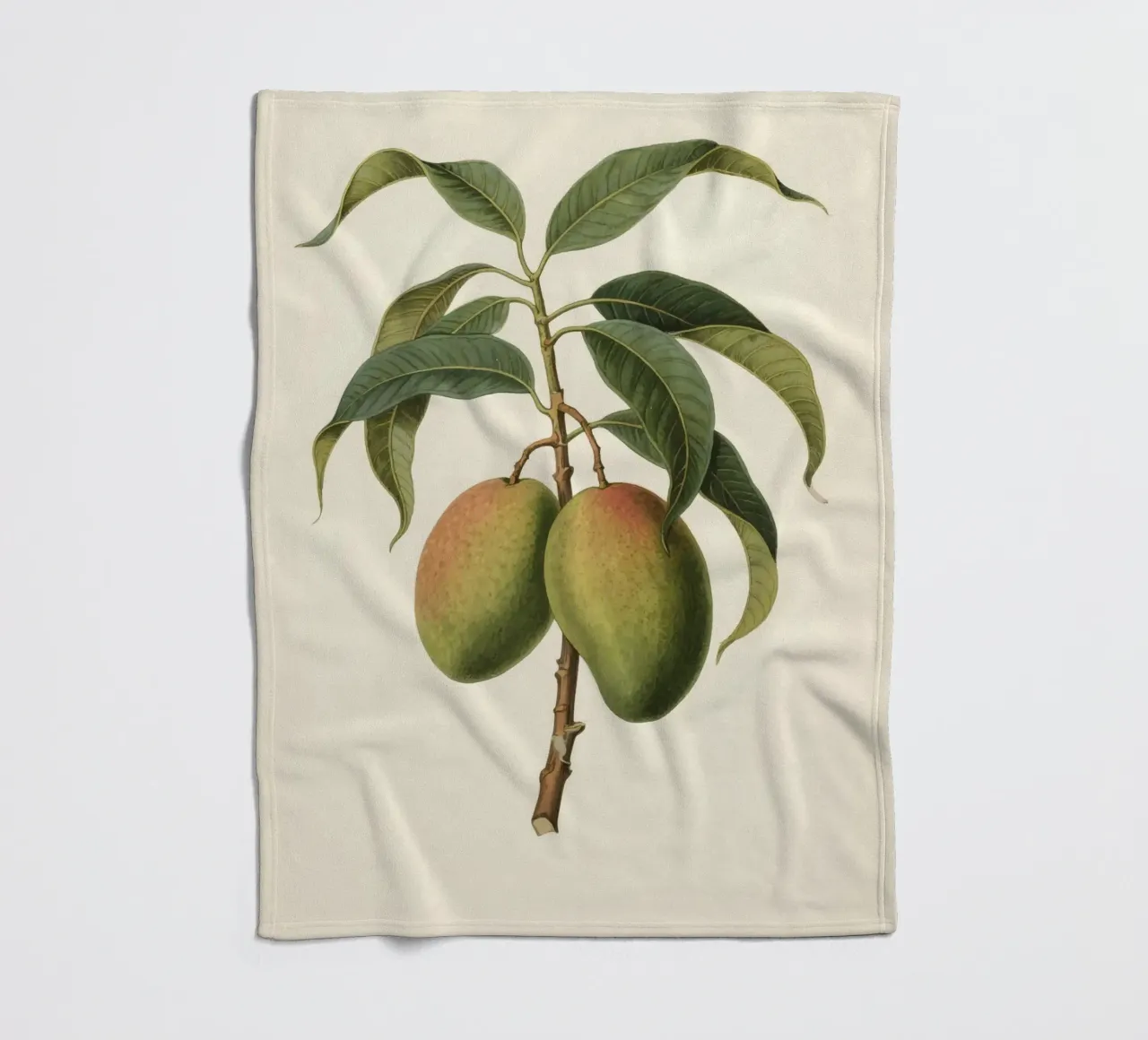 Pianta di mango coperta in pile da knowledge