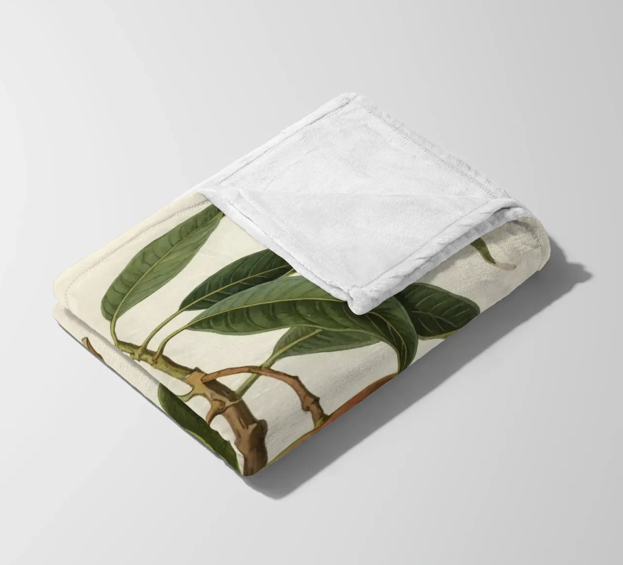 Pianta di mango coperta in pile da knowledge