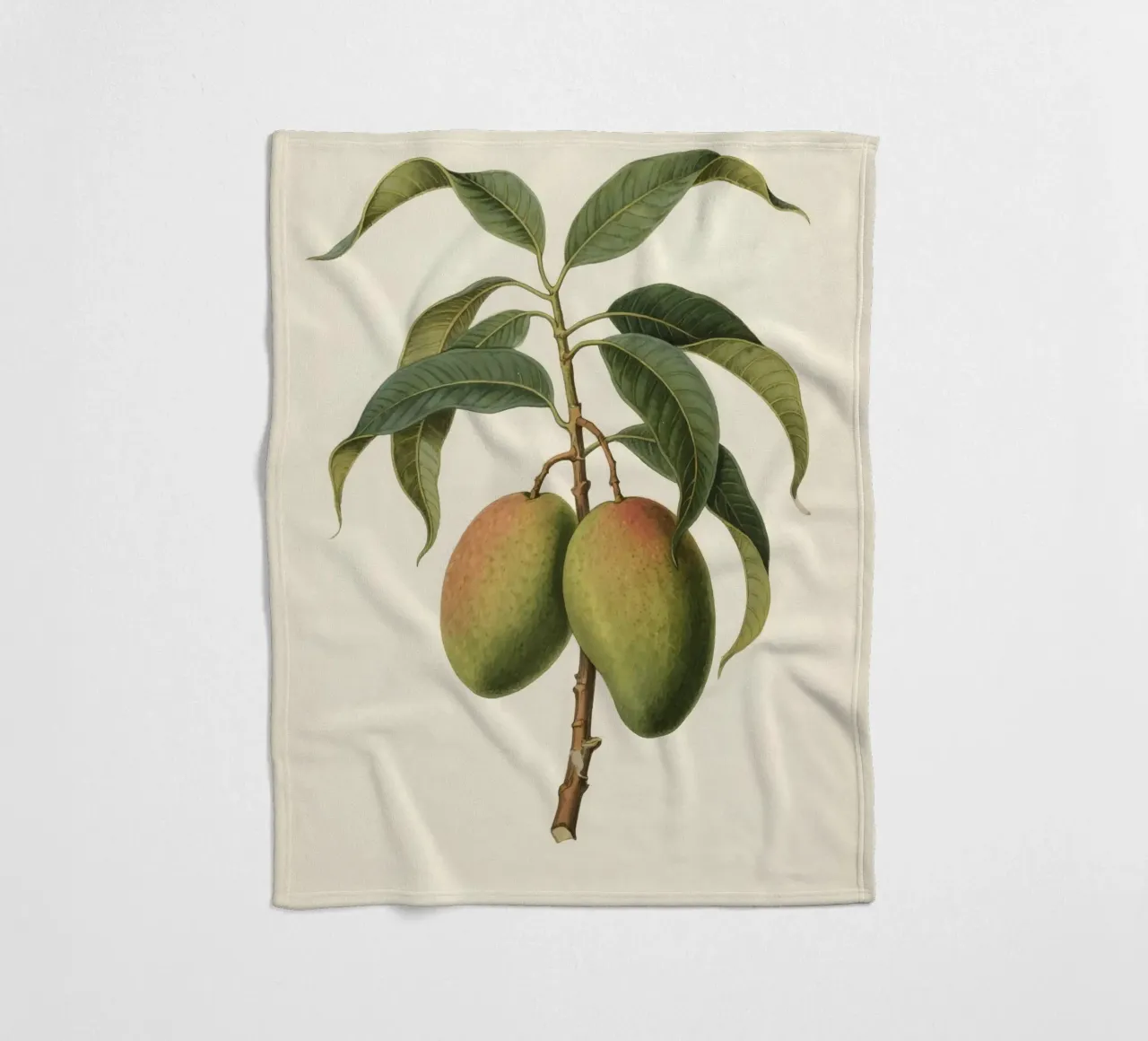 Pianta di mango coperta in pile da knowledge