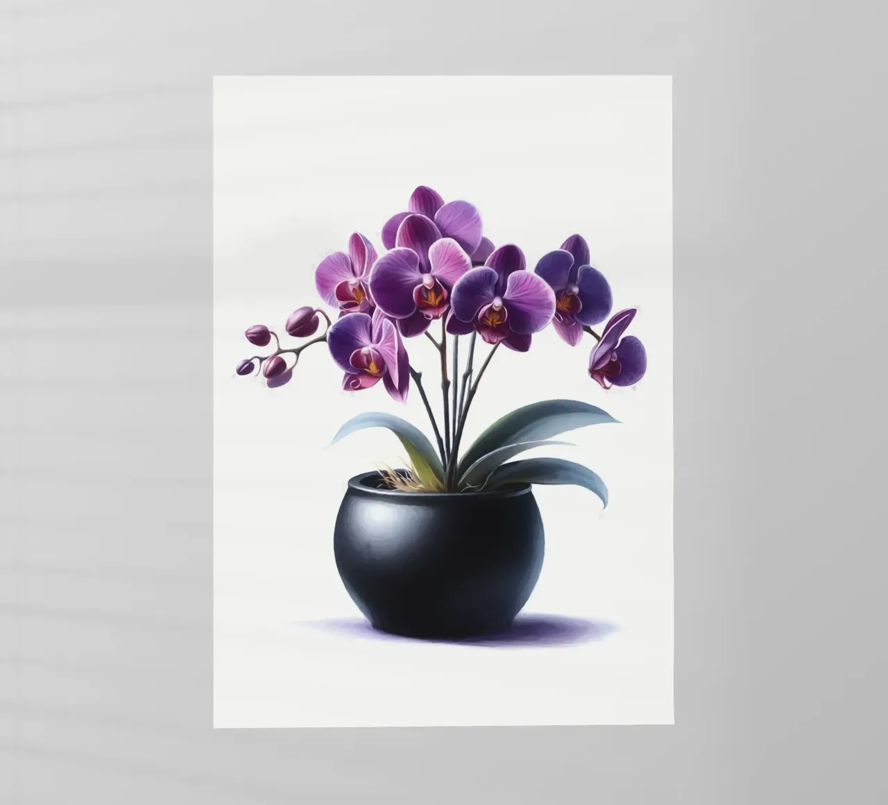 Una singola orchidea viola in un vaso di ceramica nera opaca pellicola backlit da Bloom And Brush