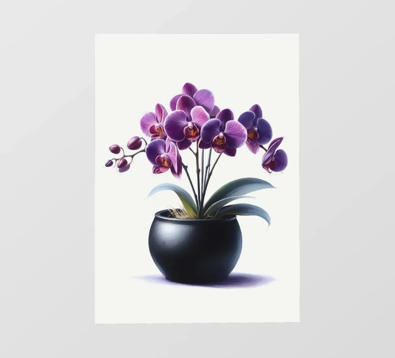 Una singola orchidea viola in un vaso di ceramica nera opaca pellicola backlit da Bloom And Brush