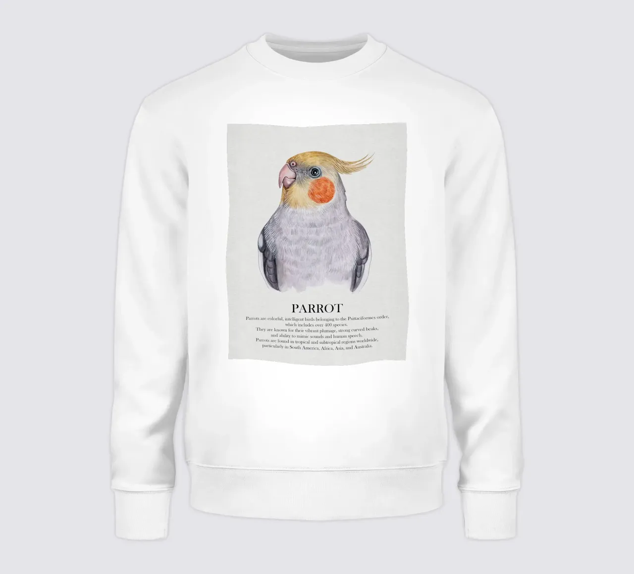 Cacatúa Loro Acuarela Ilustración sudadera de Barbara Wright