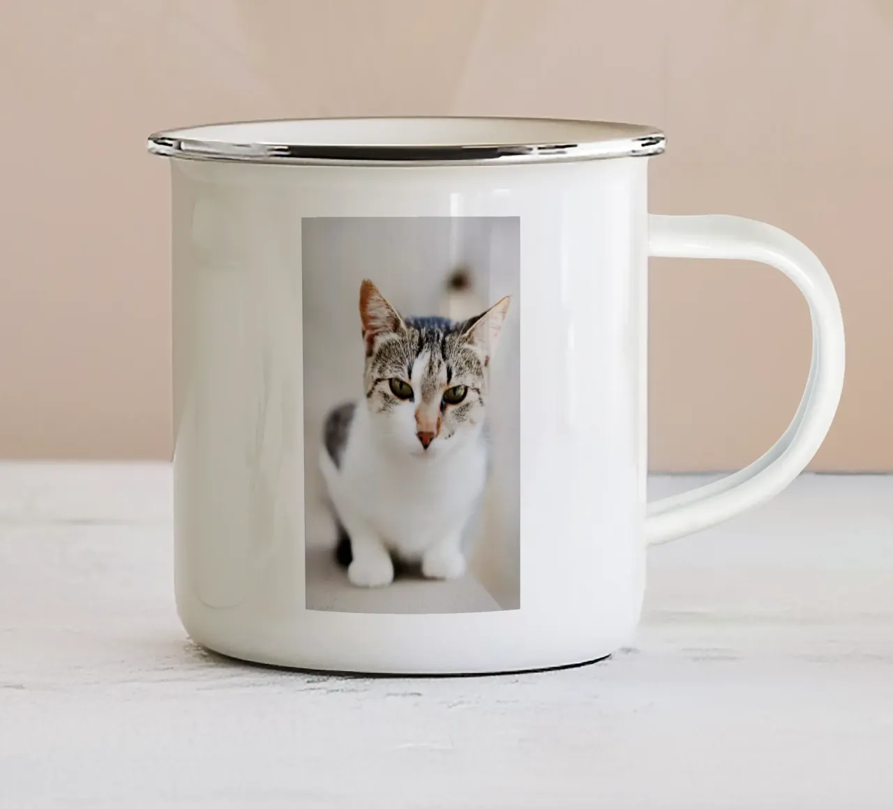 Gatto, Montenegro tazza in smalto da Simon Koy