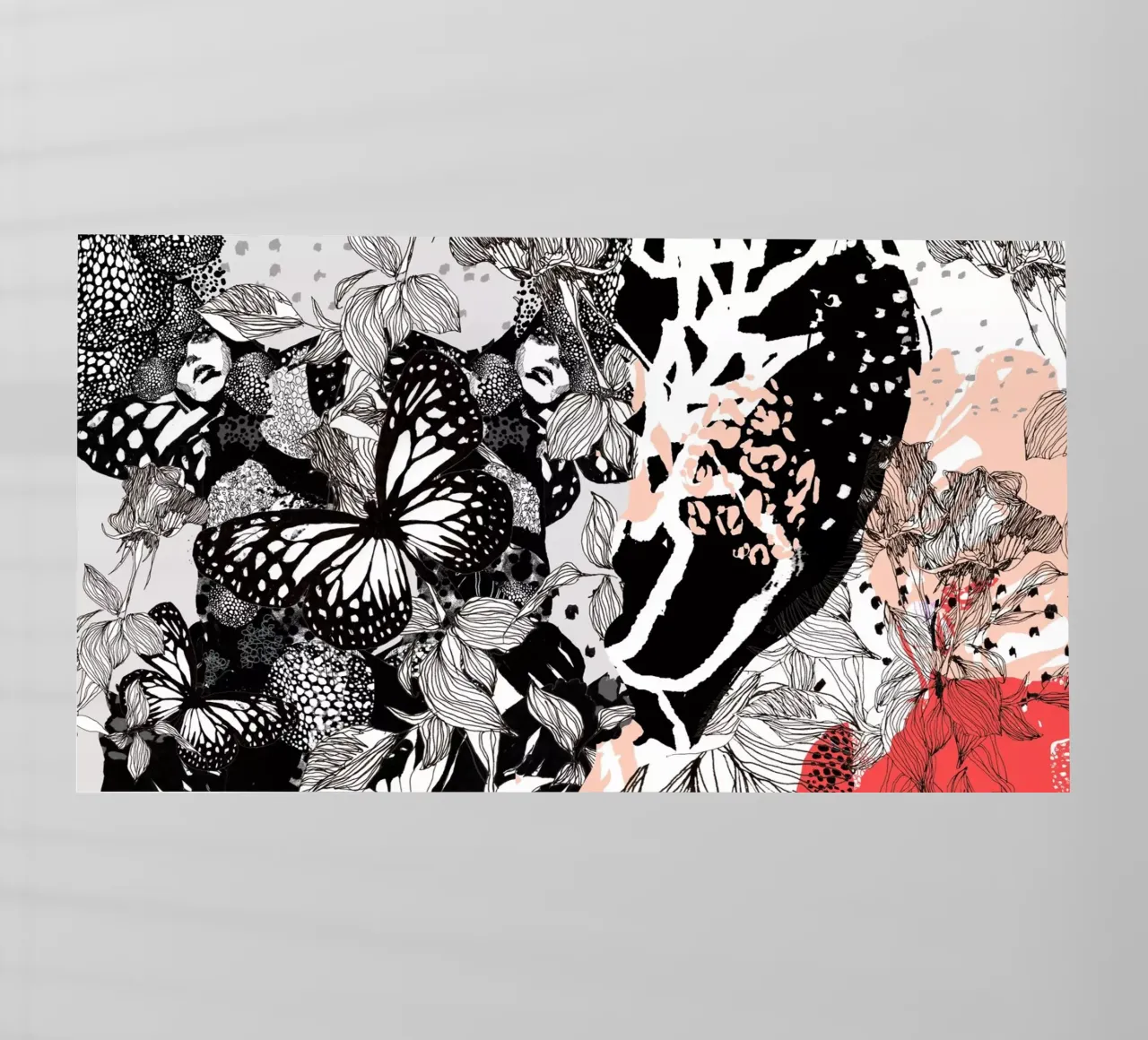 farfalla pellicola backlit da k i m