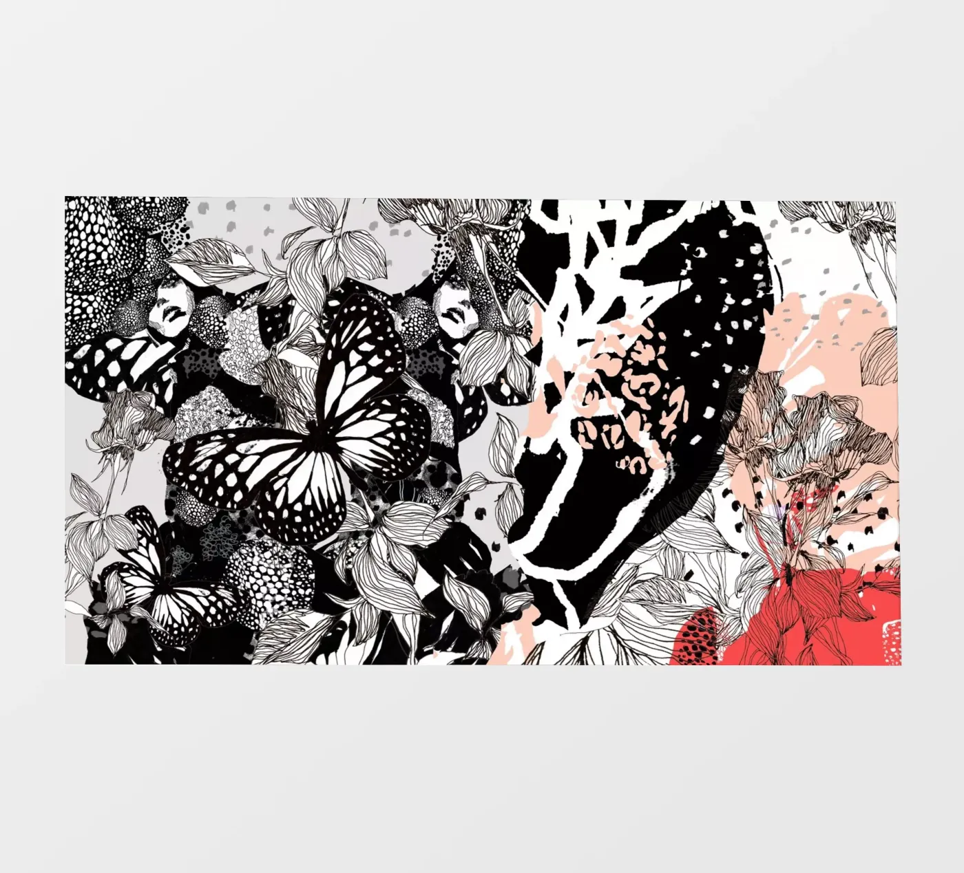 butterfly photo wallpaper by k i m