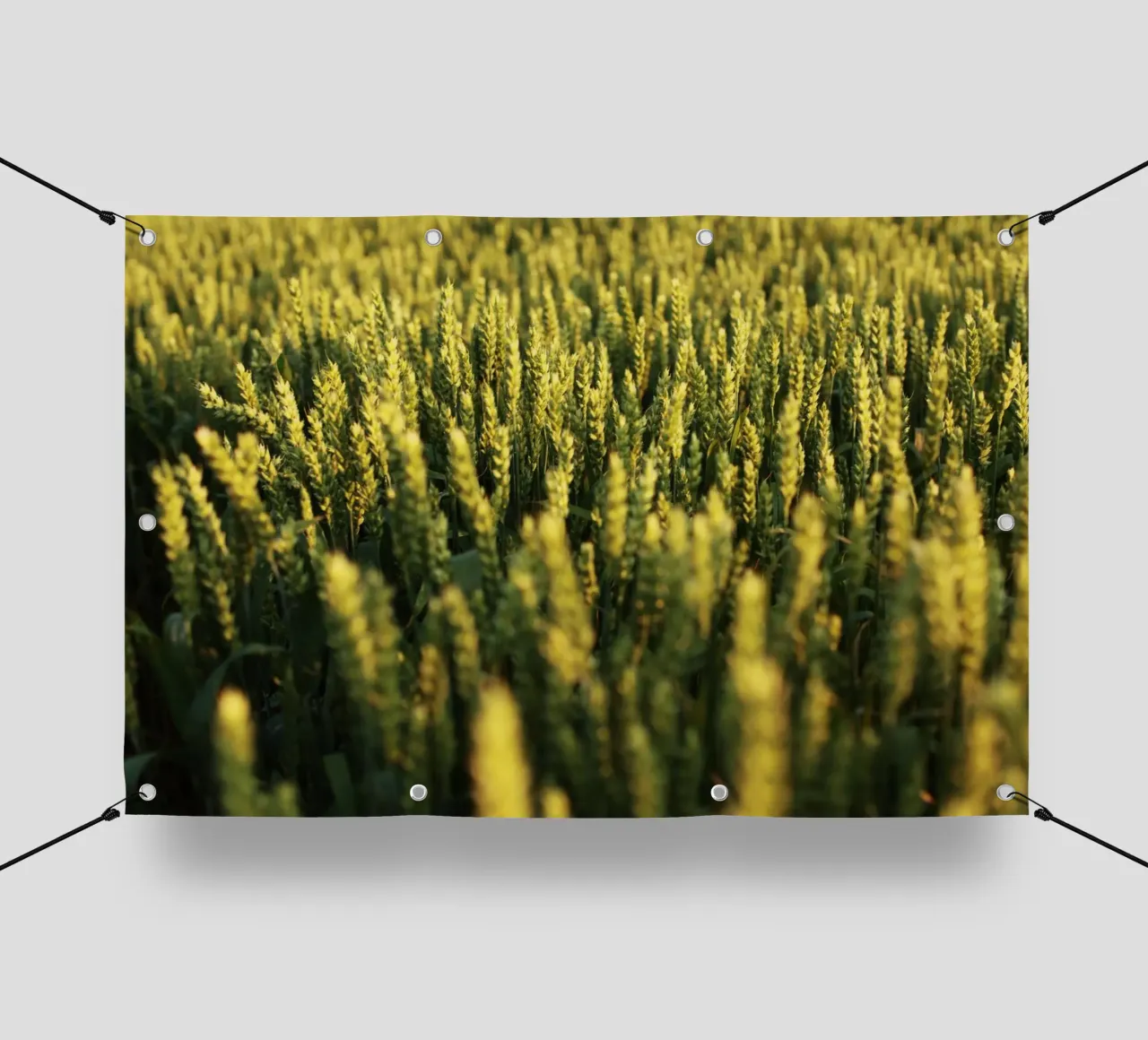 Campo di grano in Baviera telo in pvc da Simon Koy