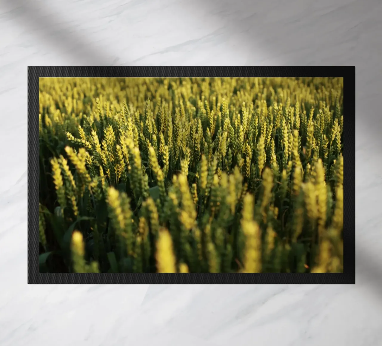 Campo di grano in Baviera zerbino da Simon Koy