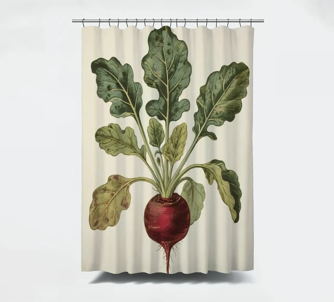 Beetroot Duschvorhang von knowledge