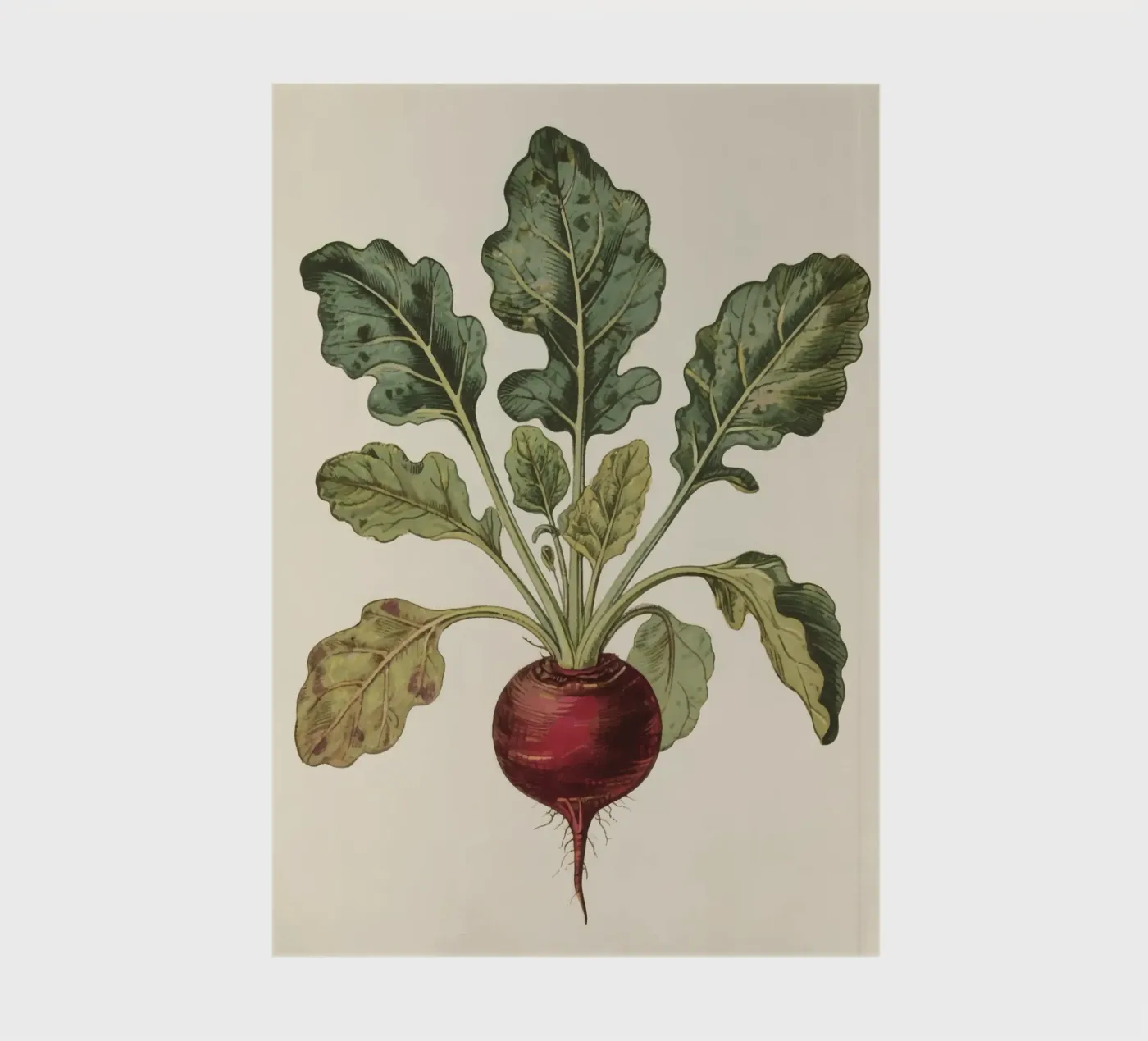 Beetroot notitieboek van knowledge