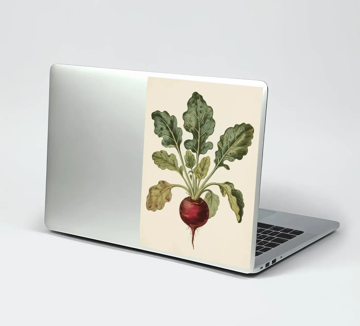 Beetroot adesivo da knowledge