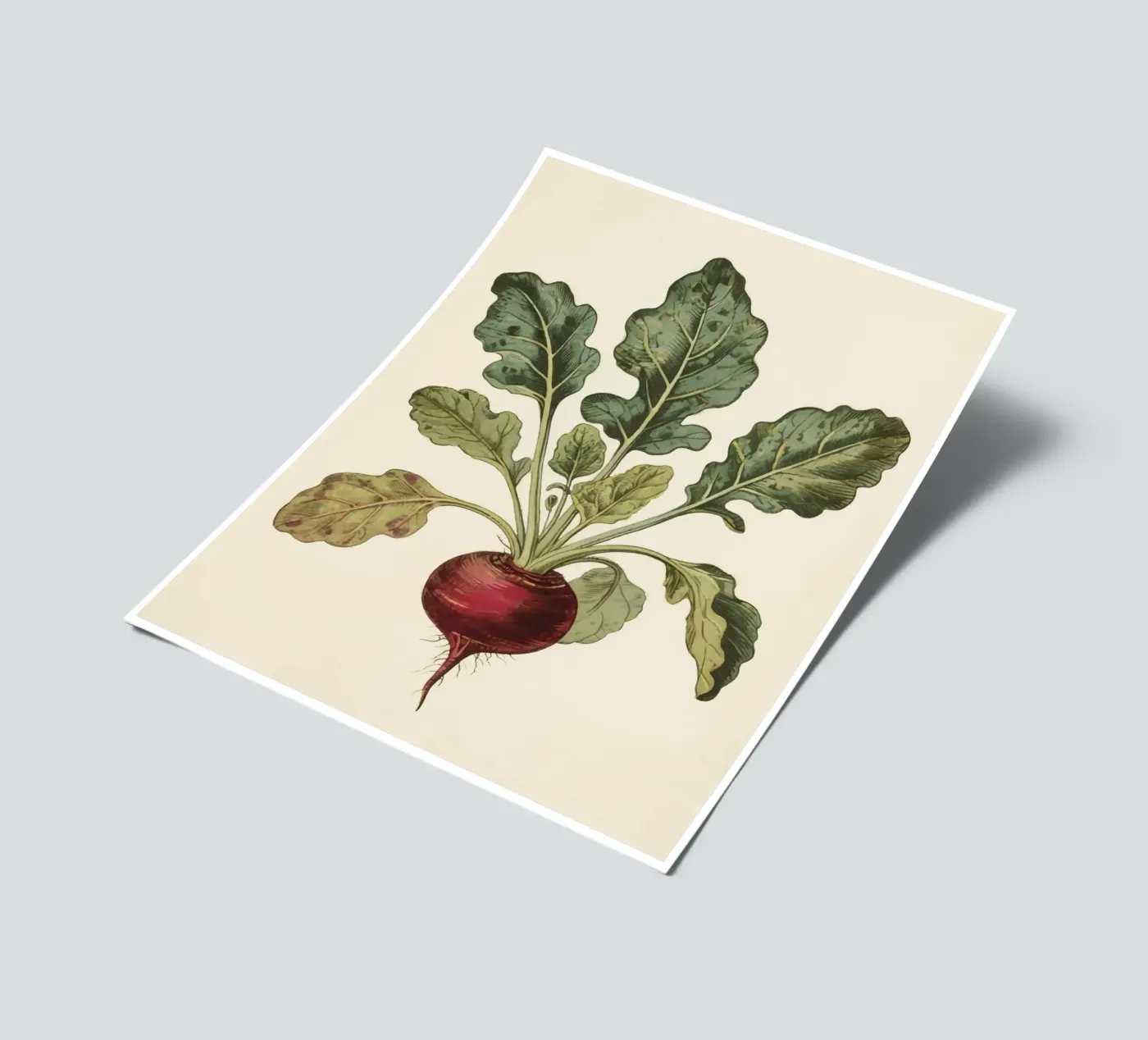 Beetroot stickervel van knowledge