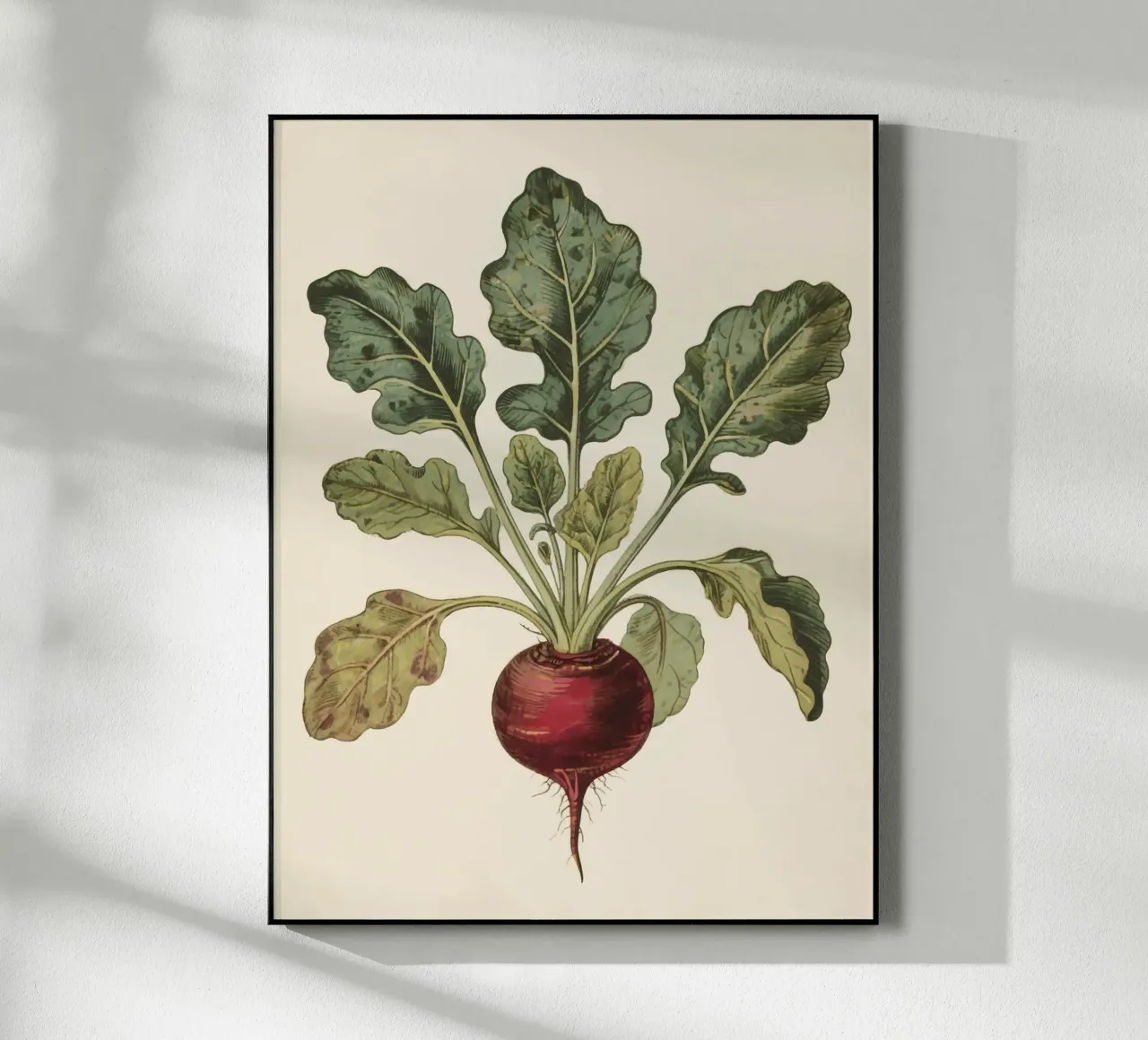 Beetroot acryl van knowledge