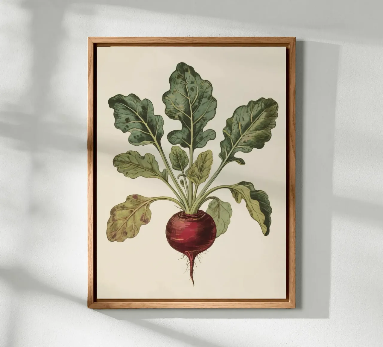 Beetroot forex plate by knowledge