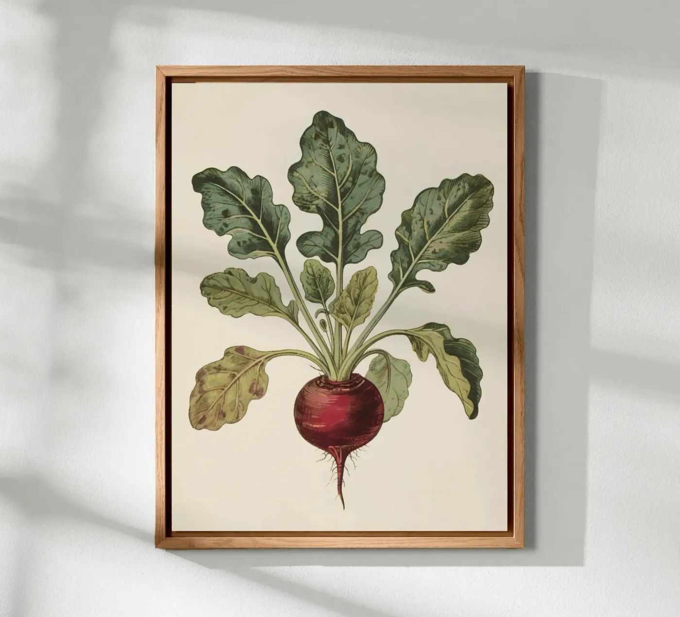 Beetroot forex plate by knowledge