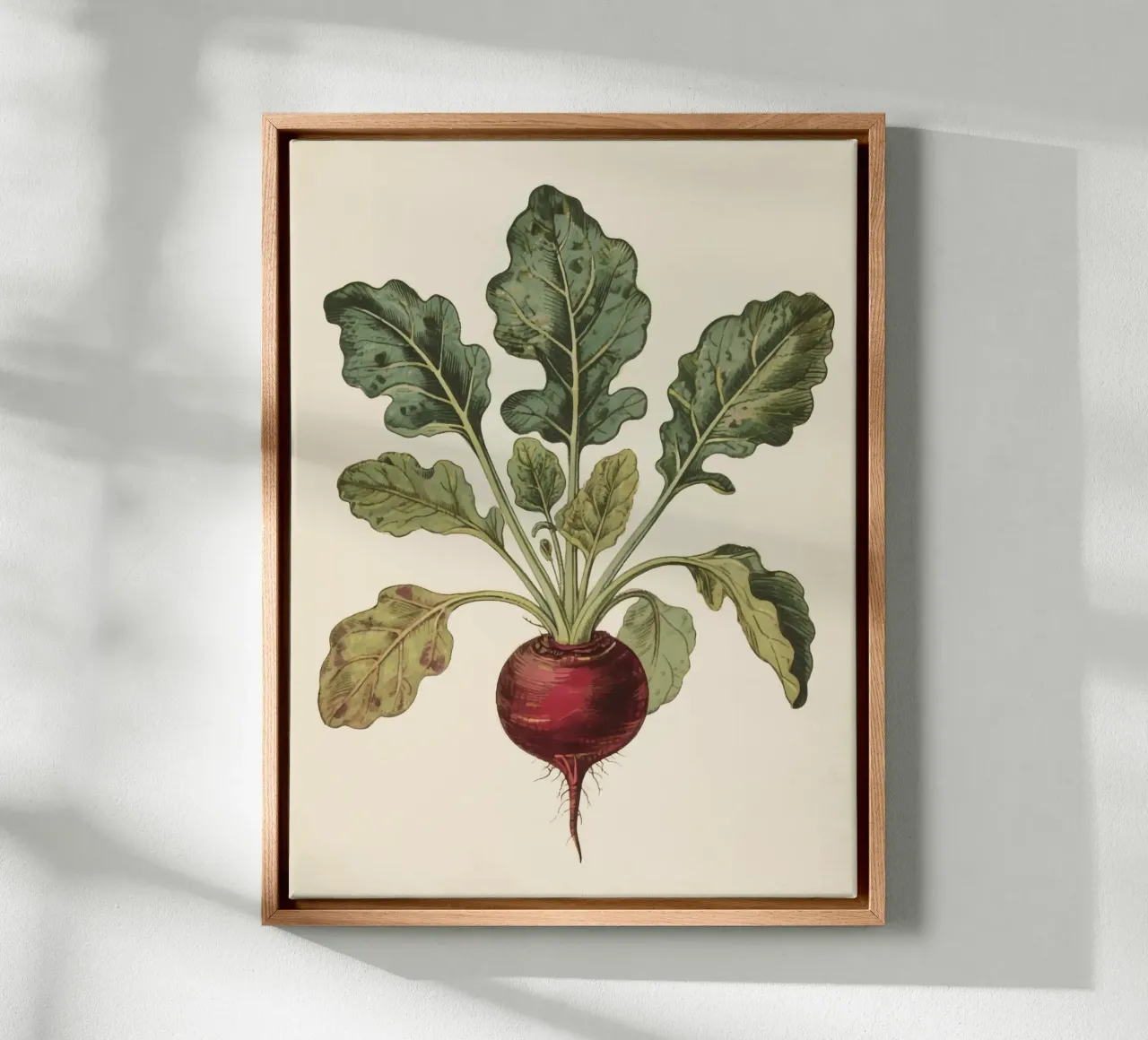 Beetroot canvas van knowledge