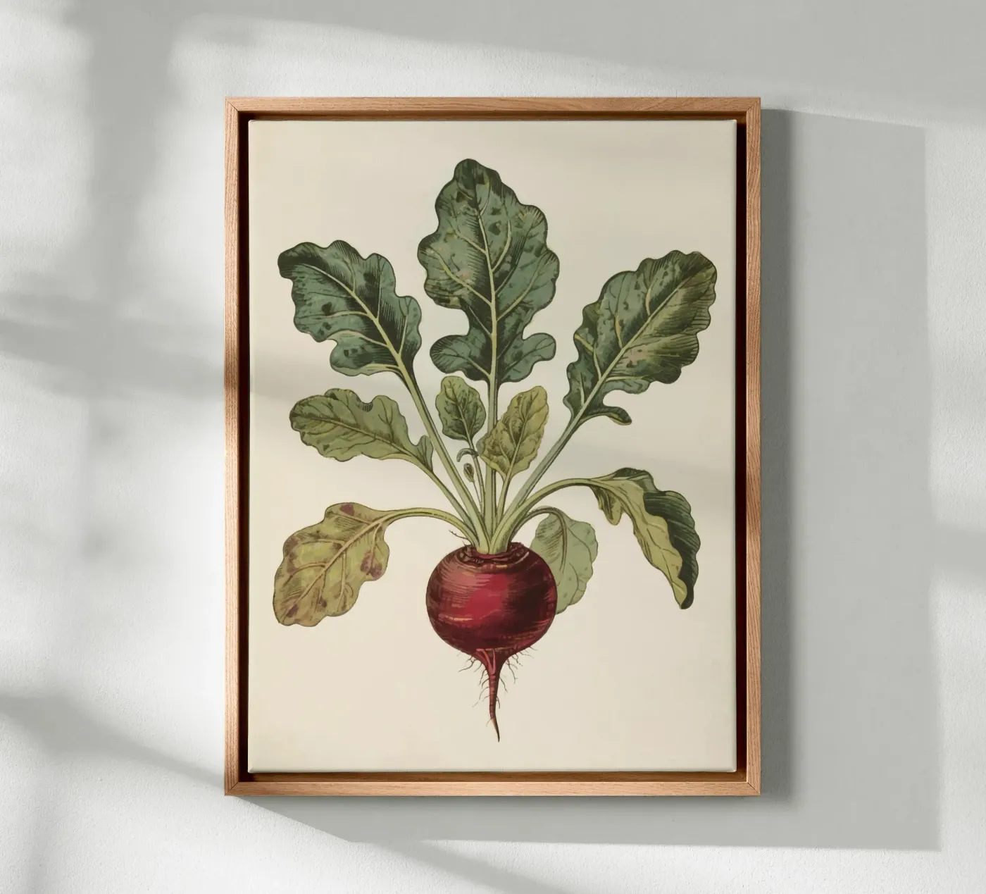 Beetroot Leinwand von knowledge