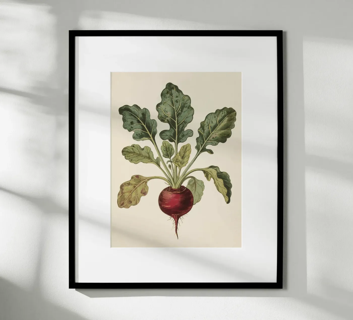 Rote Bete Poster von knowledge