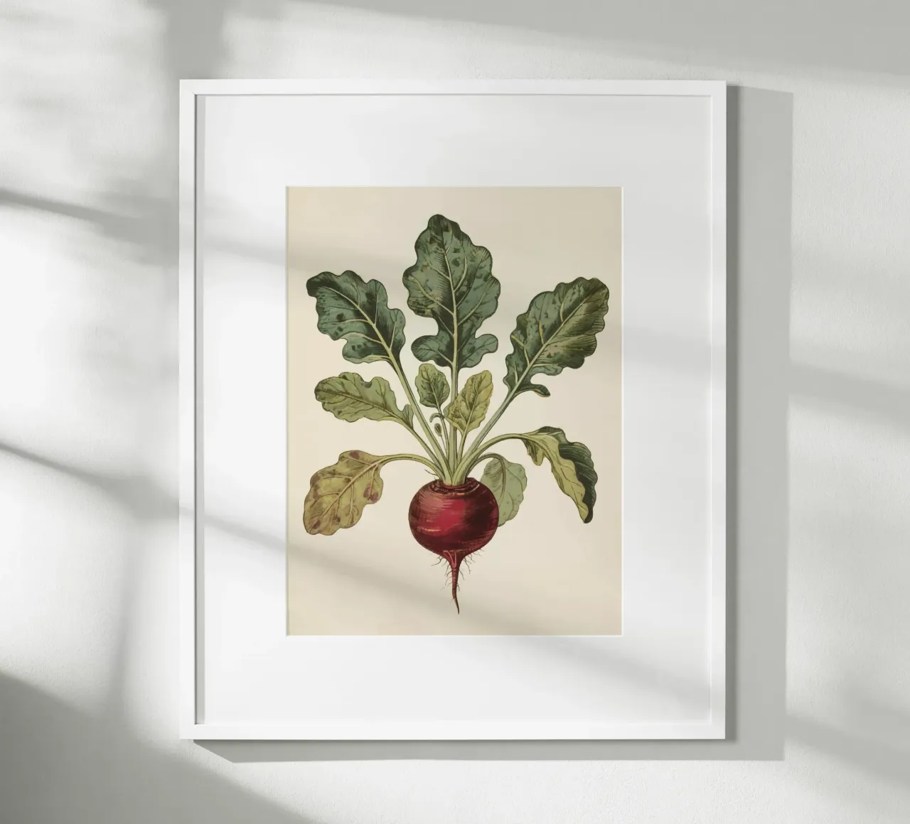 Beetroot poster van knowledge