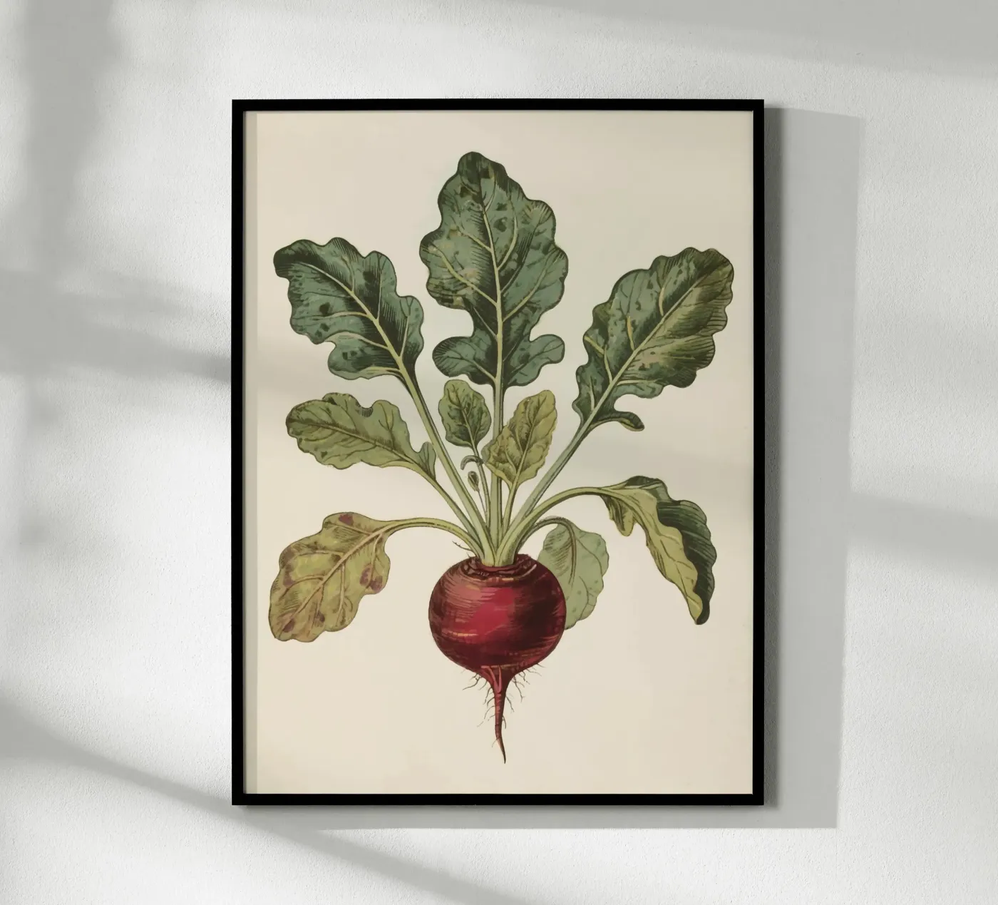 Rote Bete Poster von knowledge