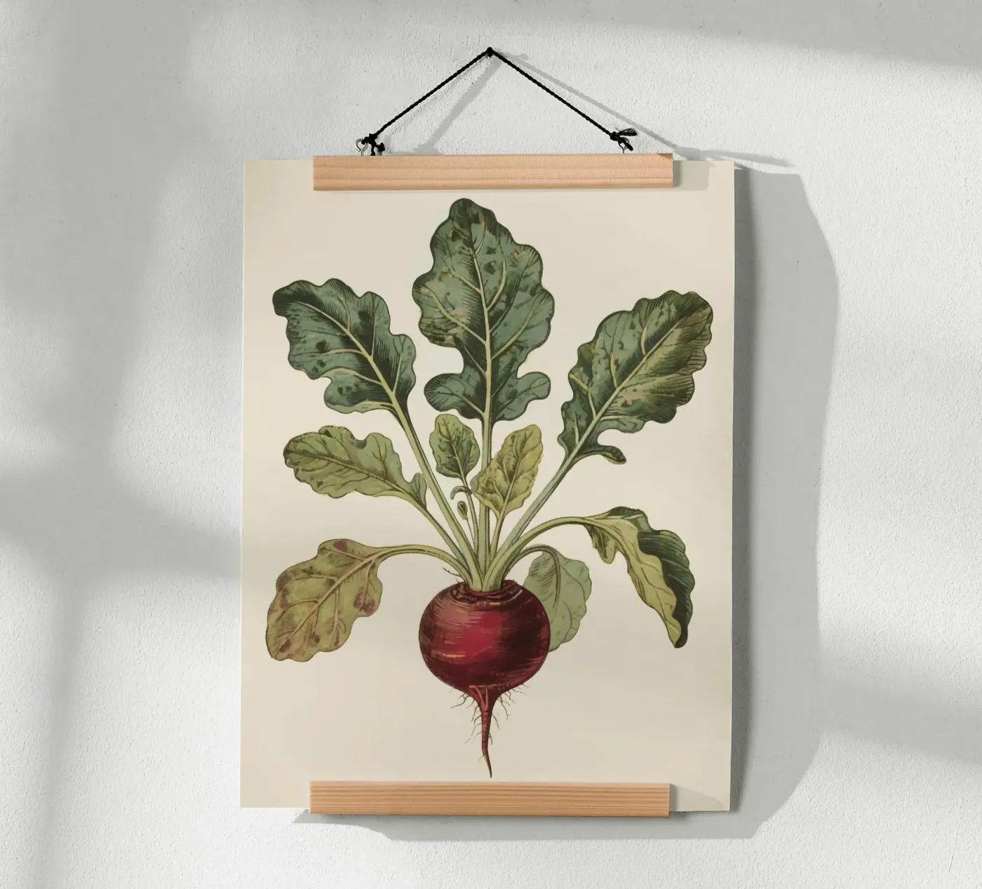 Beetroot poster by knowledge
