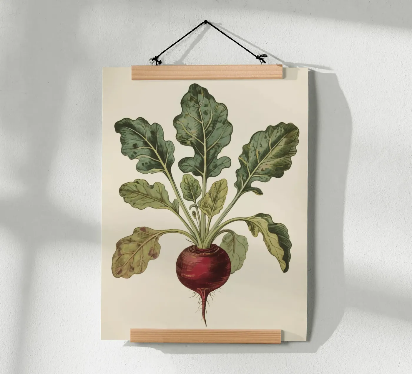 Rote Bete Poster von knowledge