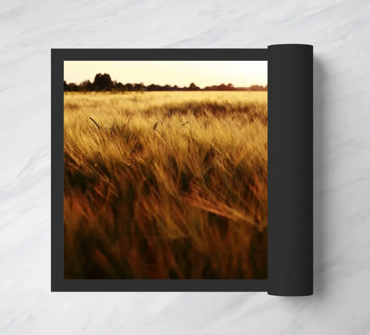 Campo di grano in Baviera zerbino da Simon Koy