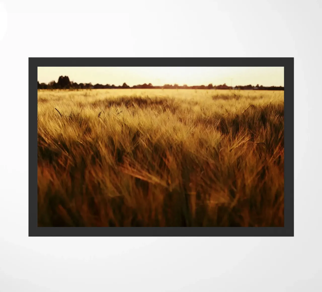 Campo di grano in Baviera zerbino da Simon Koy