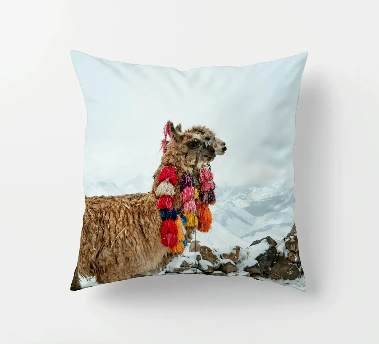 Alpaca in piedi su una montagna innevata cuscino da The Herringstore