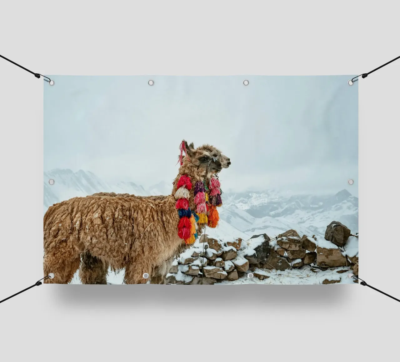 Alpaca in piedi su una montagna innevata telo in pvc da The Herringstore
