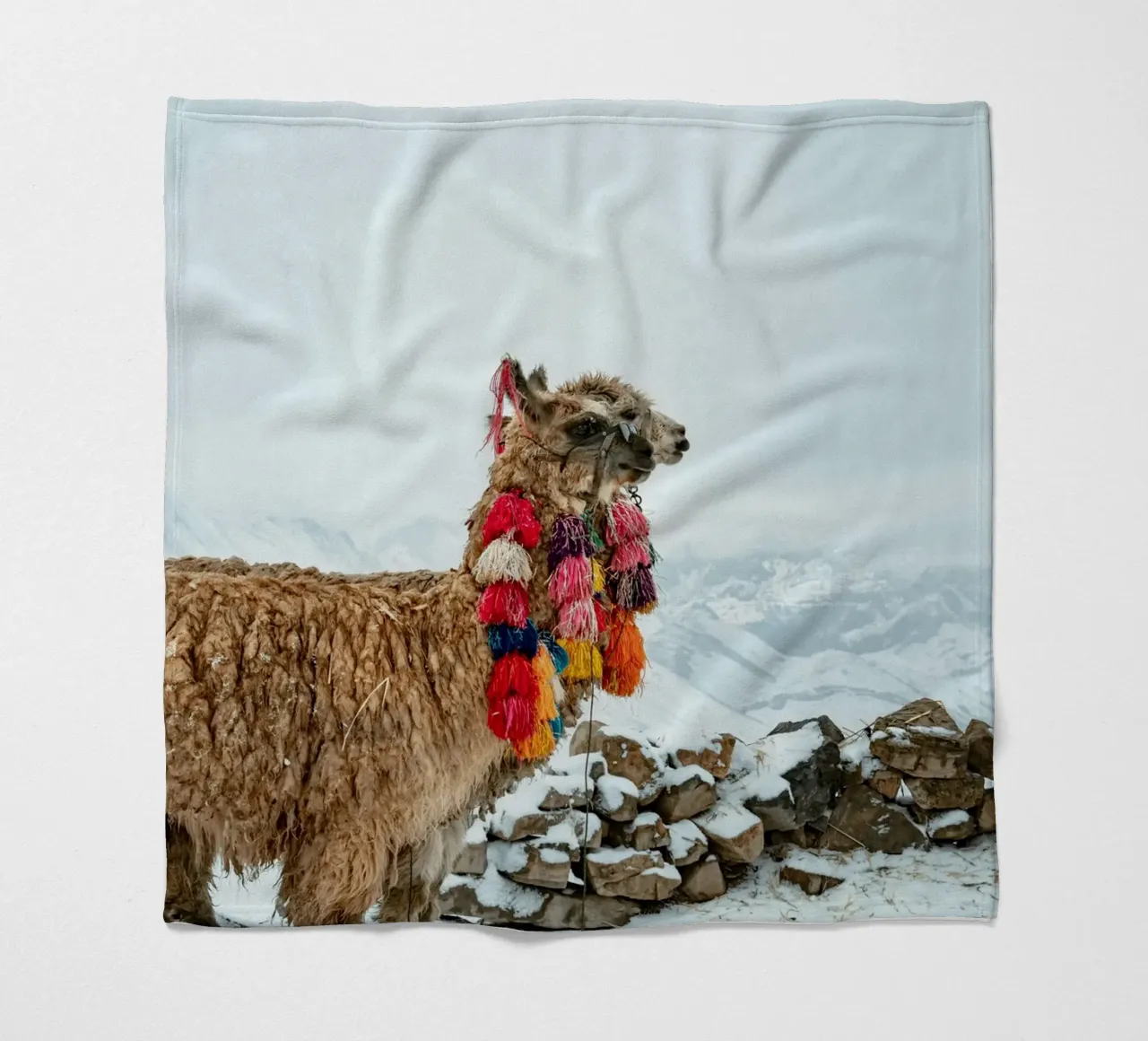 Alpaca in piedi su una montagna innevata coperta in pile da The Herringstore