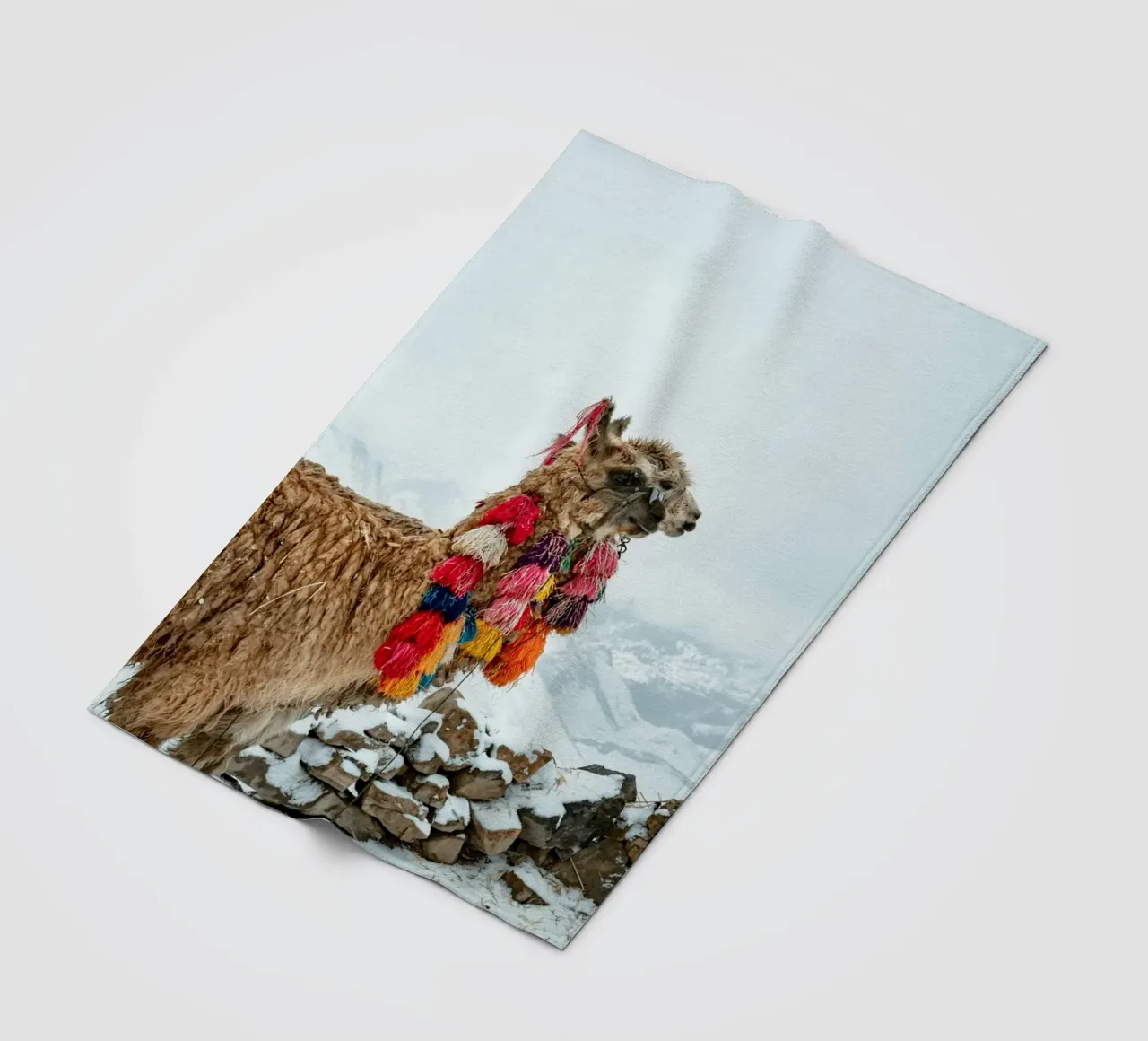 Alpaca in piedi su una montagna innevata coperta in pile da The Herringstore