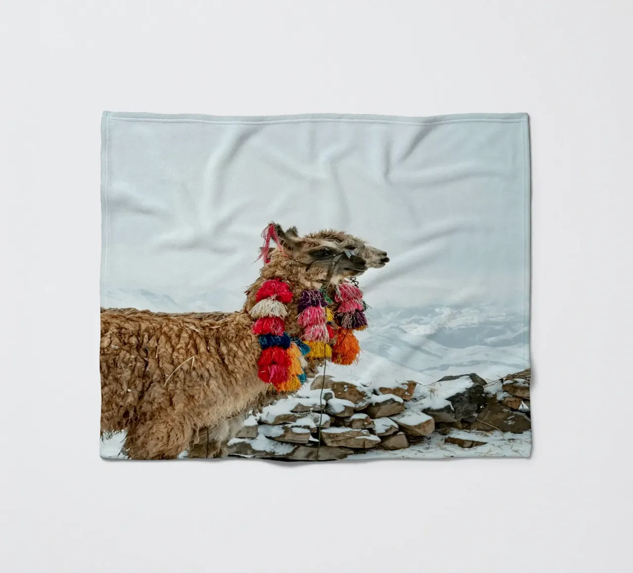 Alpaca in piedi su una montagna innevata coperta in pile da The Herringstore