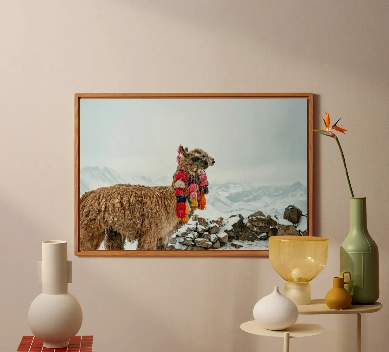 Alpaca in piedi su una montagna innevata alluminio dibond da The Herringstore