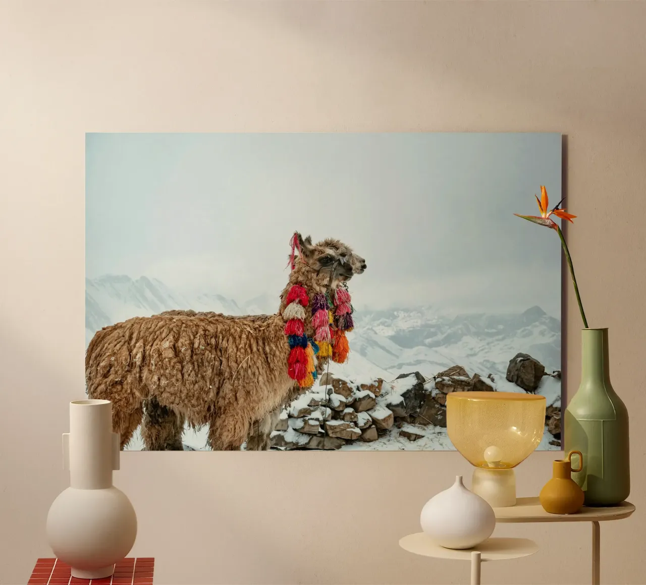 Alpaca in piedi su una montagna innevata alluminio dibond da The Herringstore
