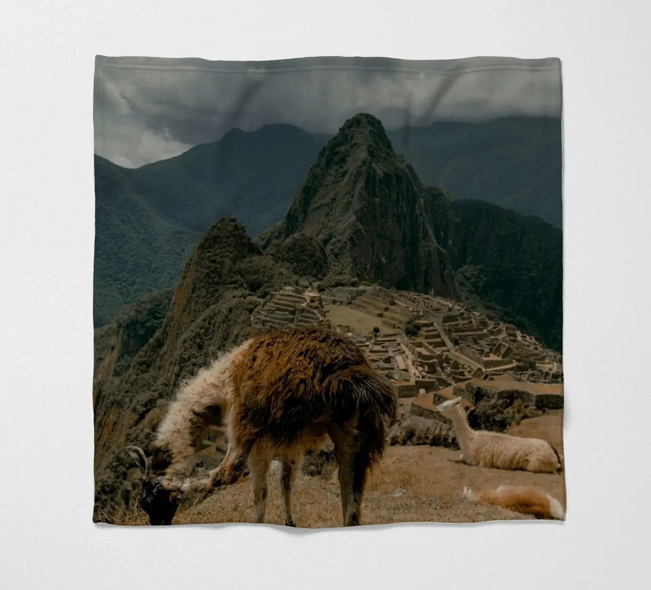 I lama al pascolo in primo piano a Machu Picchu coperta in pile da The Herringstore