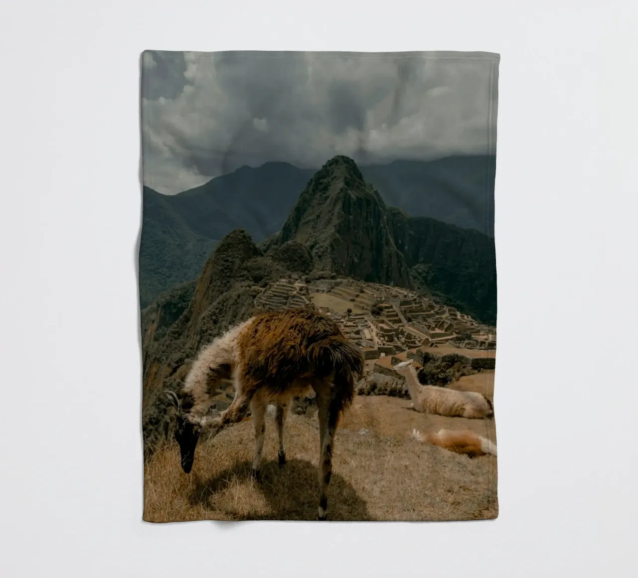 I lama al pascolo in primo piano a Machu Picchu coperta in pile da The Herringstore