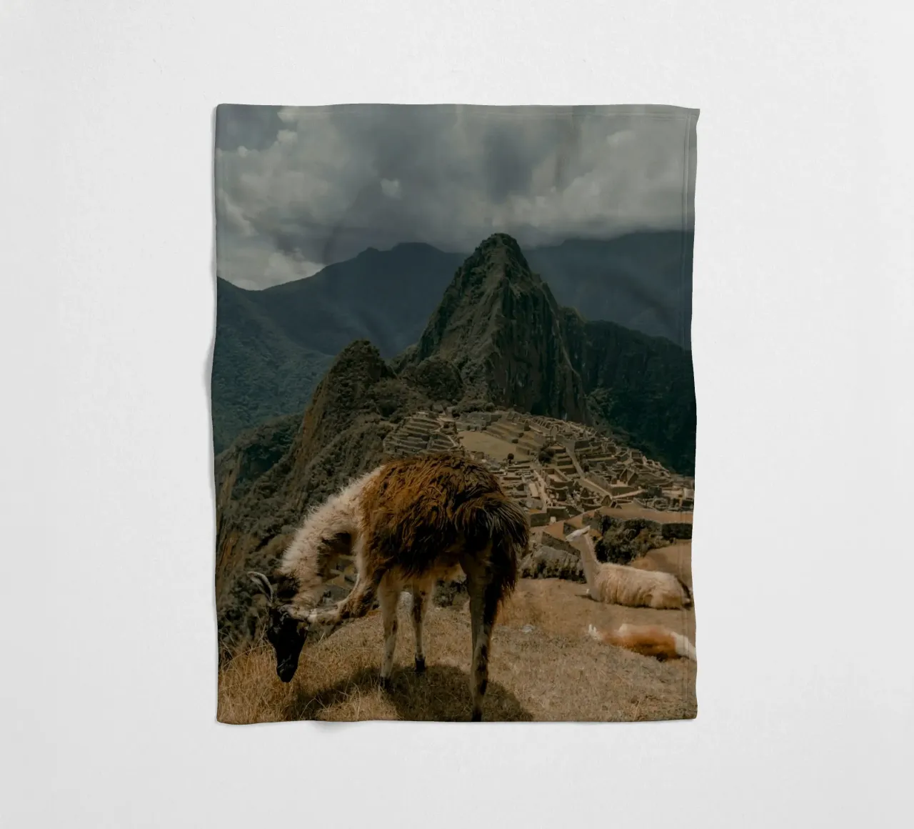 I lama al pascolo in primo piano a Machu Picchu coperta in pile da The Herringstore