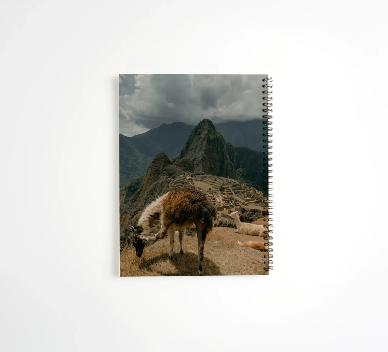 Llamas Grazing in the Foreground of Machu Picchu spiral notebook by The Herringstore