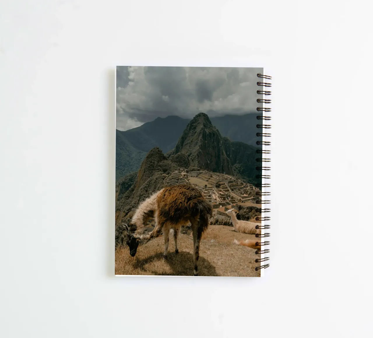 Llamas Grazing in the Foreground of Machu Picchu spiral notebook by The Herringstore