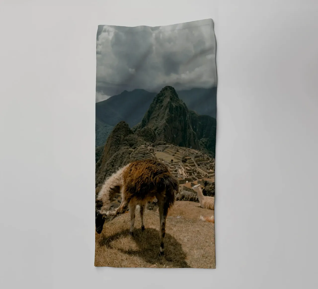 I lama al pascolo in primo piano a Machu Picchu asciugamano da bagno da The Herringstore