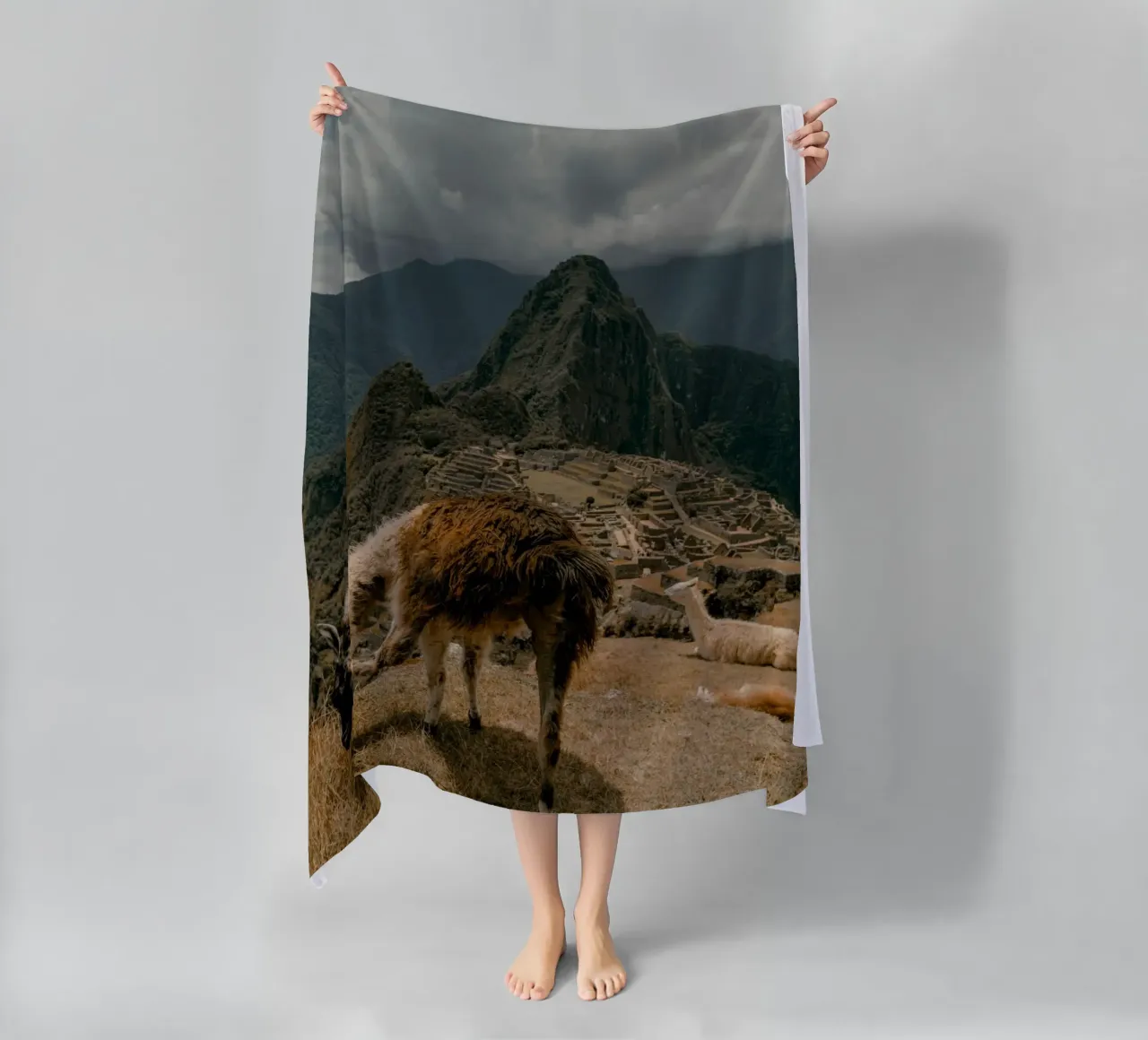 I lama al pascolo in primo piano a Machu Picchu telo mare da The Herringstore