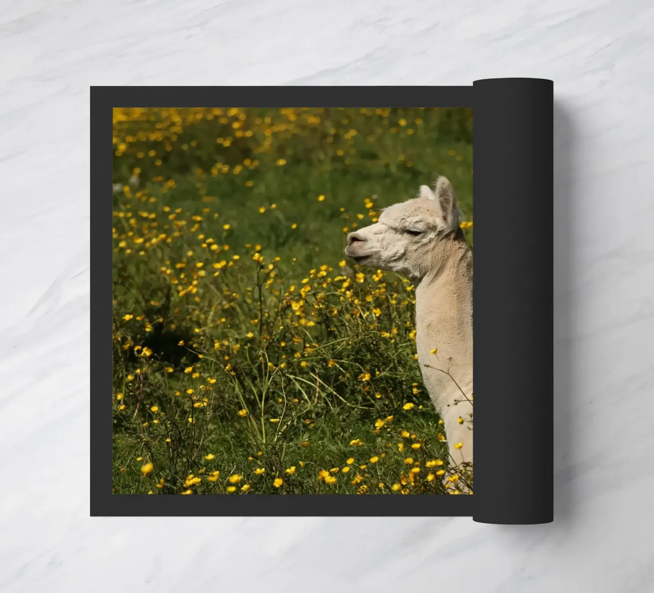Alpaca sereni in mezzo a fiori di campo gialli e vibranti zerbino da The Herringstore