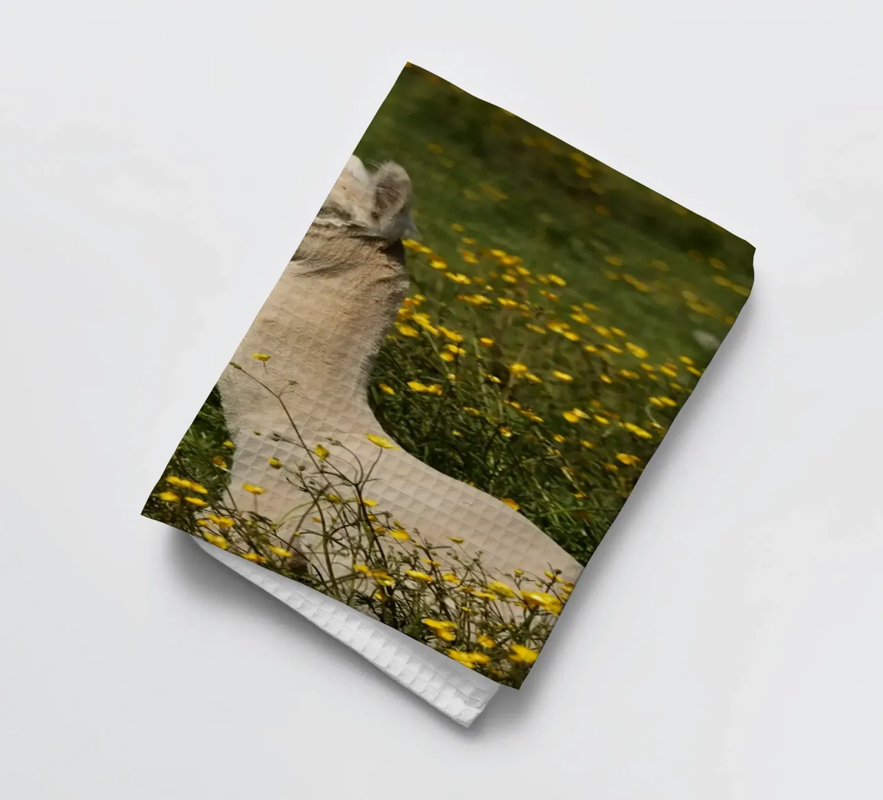 Alpaga serein au milieu de fleurs sauvages d'un jaune éclatant torchon de The Herringstore