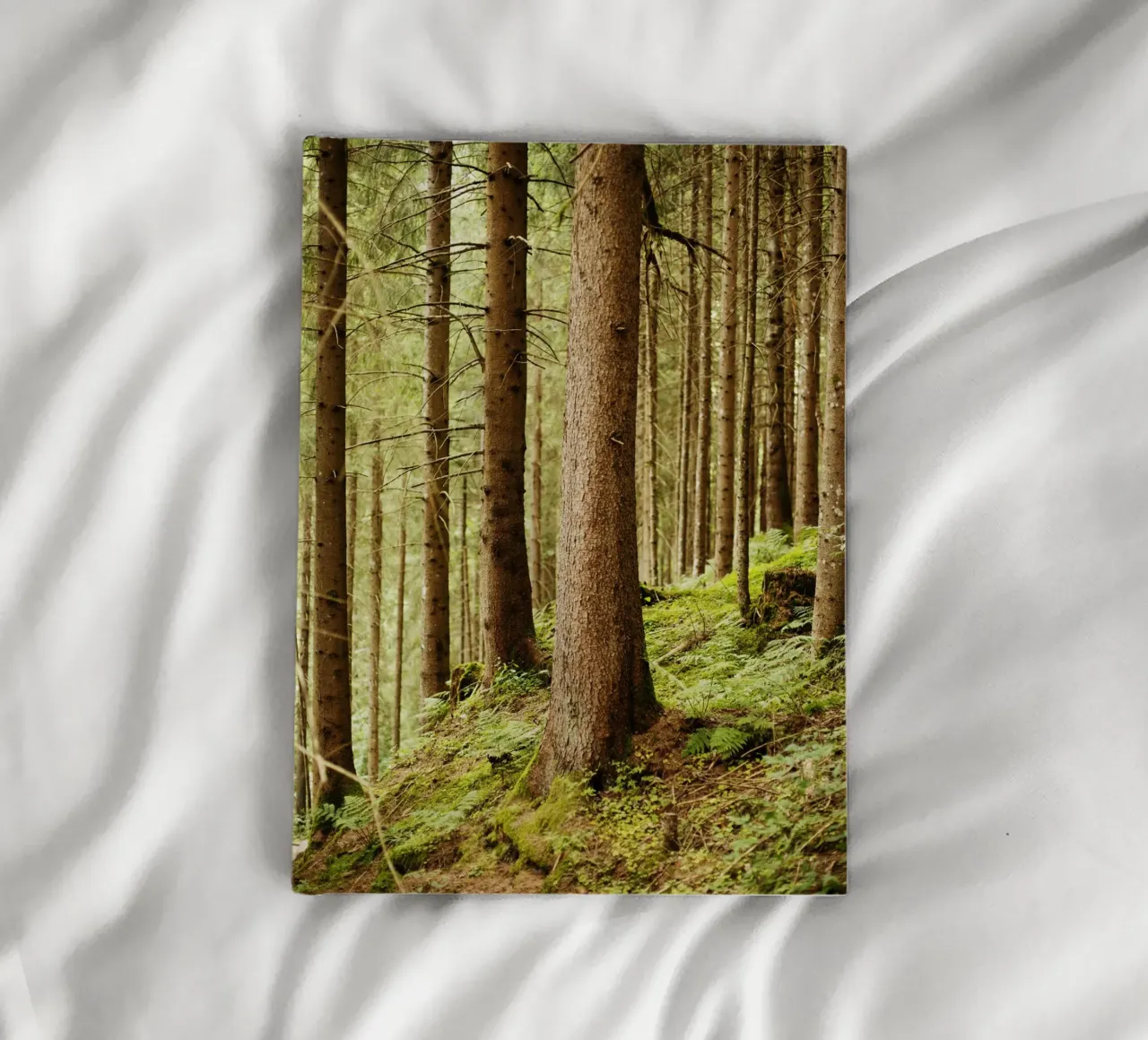 Forest at Lake Aachen notebook by Simon Koy