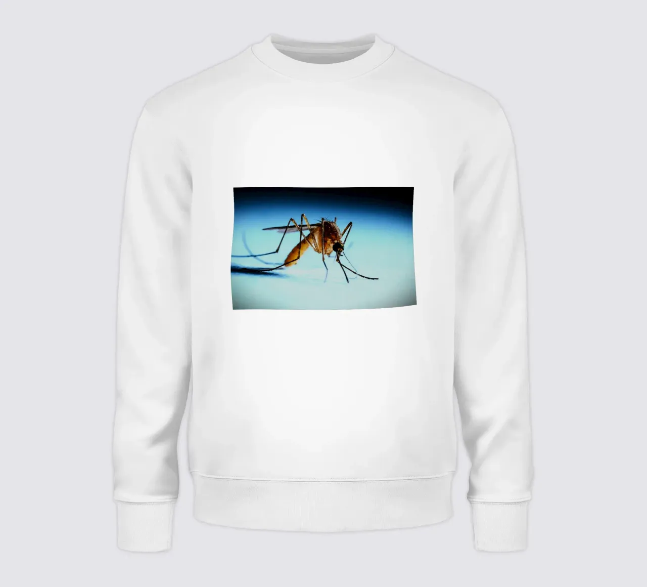 Piccolo ma non invisibile felpa da Nature's Palette