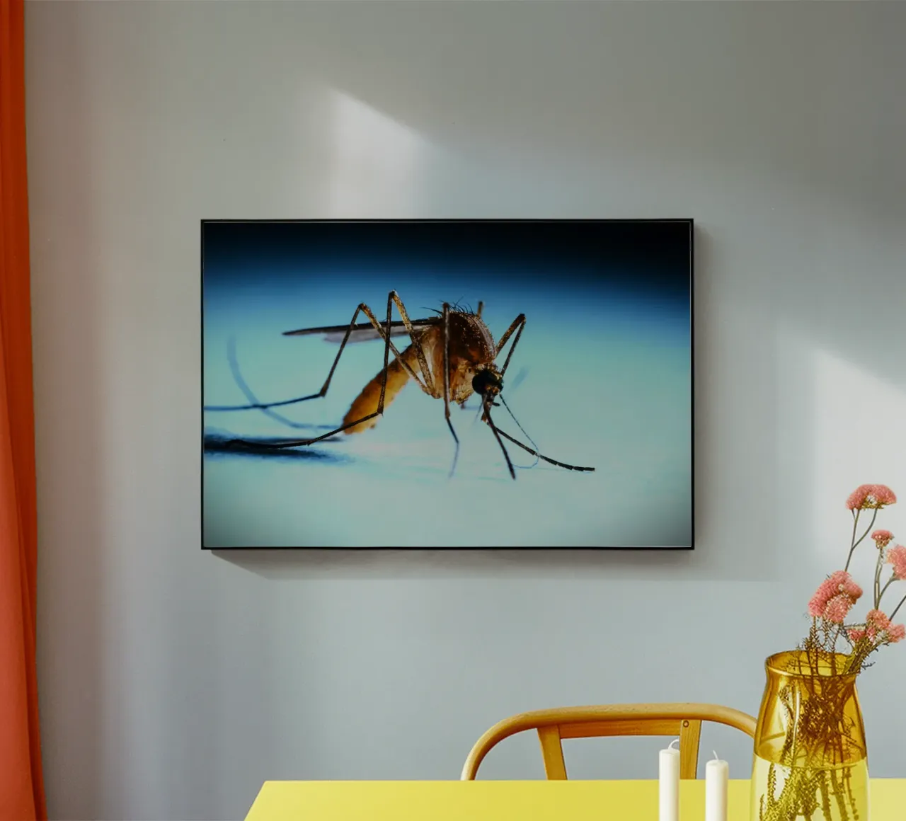 Piccolo ma non invisibile plexiglass da Nature's Palette